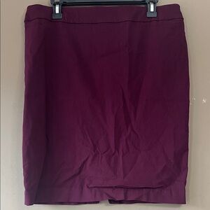 Cleo Elegant Purple Women's Skirt Office Size Large